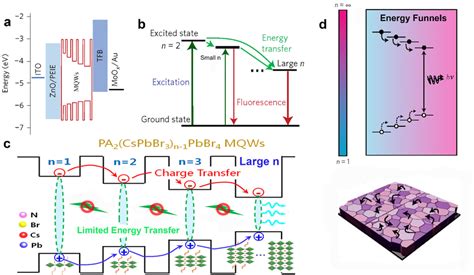 (a) Energy level diagram of perovskite LED with perovskite... | Download Scientific Diagram