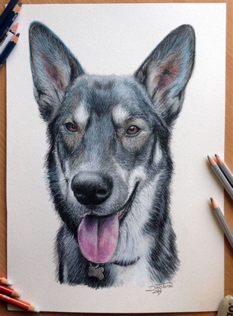 25 Beautiful and Realistic Animal Drawings around the world | Рисунки ...