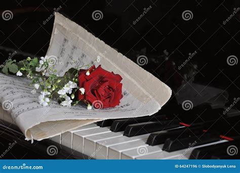 Rose on the piano stock photo. Image of love, dreamy - 64247196