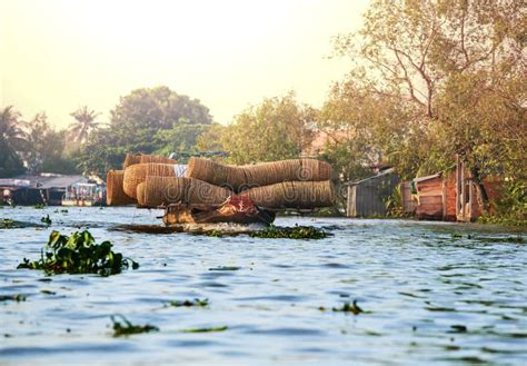 Mekong Delta stock image. Image of delta, forest, mekong - 32262085