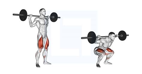 Barbell Full Squat - Guide, Benefits, and Form