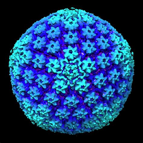 Herpes Simplex Virus Photograph by Louise Hughes - Fine Art America