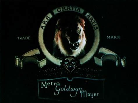 Telly, the 3rd MGM lion and first one in Technicolor | Mgm lion, Mgm, Metro goldwyn mayer logo