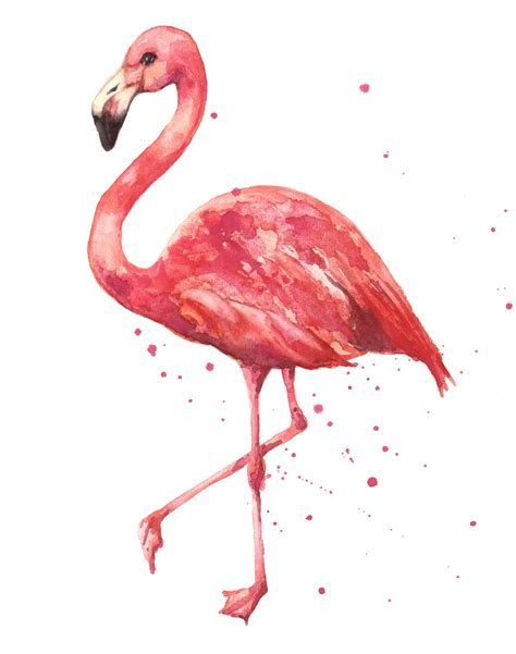 Flamingo | Flamingo art print, Flamingo painting, Flamingo art