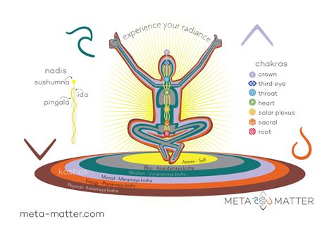 Subtle Body — TRIattunement