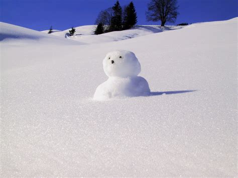 Free Images : cold, weather, season, outdoors, fun, happy, snowman, joy, blizzard, freezing ...
