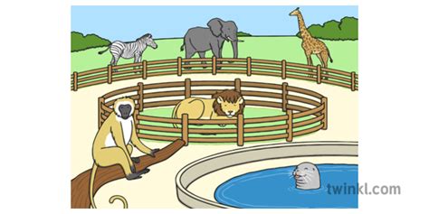 What is a Zoo? - Answered - Twinkl Teaching Wiki - Twinkl