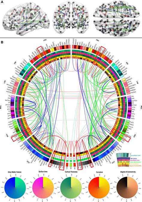 First map of core white-matter connections of human brain developed at USC | Kurzweil