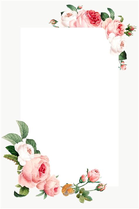 Download premium png of Pink cabbage rose rectangled frame design ...