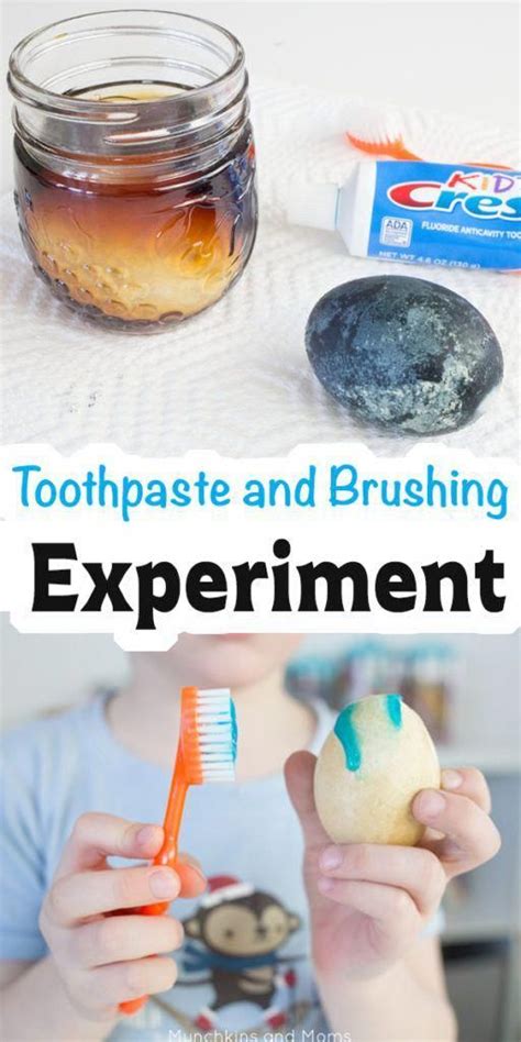 Teach kids about oral health with this toothpaste and brushing experiment! Perfect for… | Dental ...