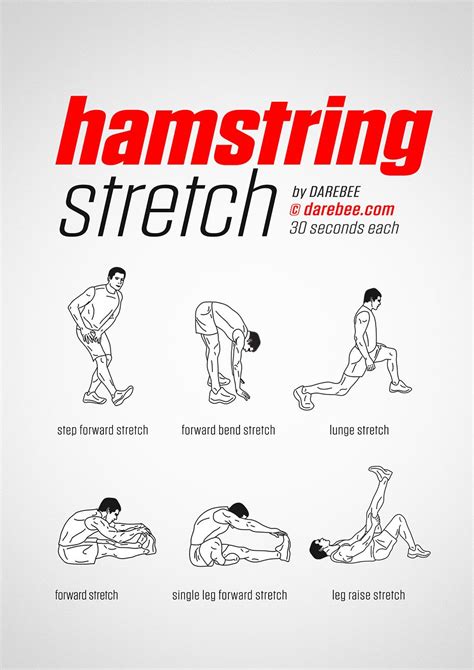 Hamstring Stretch | Post workout stretches, Hamstring workout ...