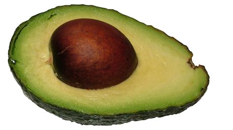 Avocado PNG Image - PurePNG | Free transparent CC0 PNG Image Library