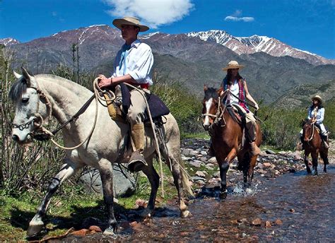 Mendoza Hotels in Mendoza Argentina. Tourism in Mendoza, AccommodationCREOLE HORSEBACK | Mendoza ...