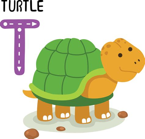 Illustration Isolated Animal Alphabet Letter T-Turtle 10511947 Vector ...