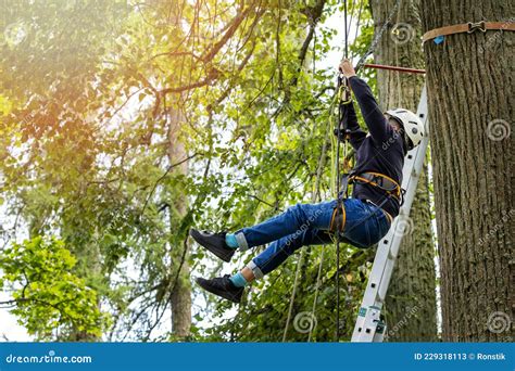 Child Climbing Tree with Rope and Safety Gear in Adventure Park Stock Image - Image of harness ...