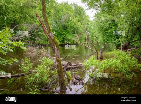 Effigy Mounds National Monument Stock Photo - Alamy