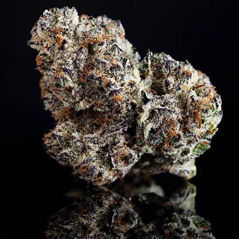 Oreoz feminized cannabis seeds for sale-Oreo Cookies strain