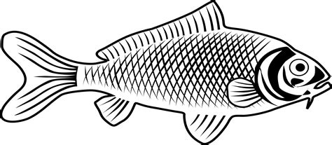 Clipart - fish