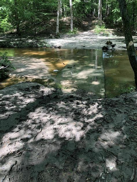 Beaver Lake Trail - Virginia | AllTrails