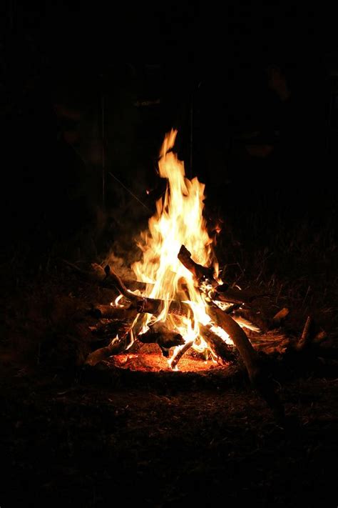 Crackling Bush Campfire Photograph by StaJa Photography - Fine Art America