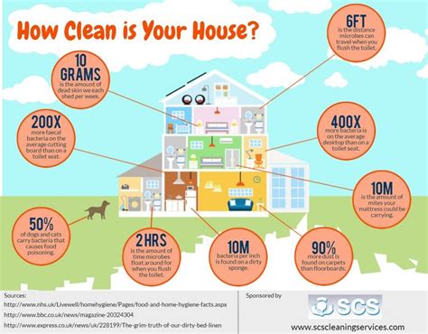 How Clean is Your House? [Infographic] | House cleaning services, Clean ...