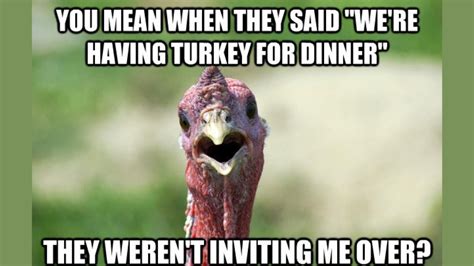 30+ Most Hilarious Funny Turkey Memes 2023