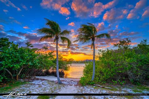 Loxahatchee River Jupiter Island Sunset Coconut Trees | HDR Photography by Captain Kimo