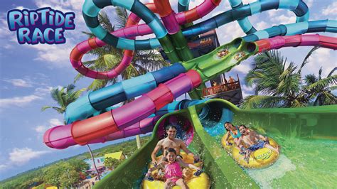 RipTide Race announced for Aquatica in 2020 - Expedition Theme Park