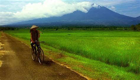 Apa sih Kampung Halaman Itu? - Ghumi