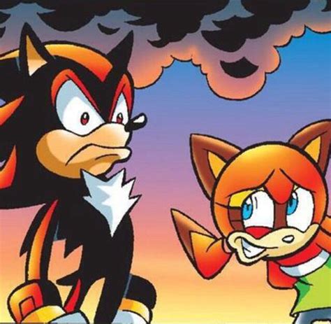 an image of two sonic and tails characters