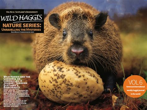 Wild Haggis and the Conservation Chronicles