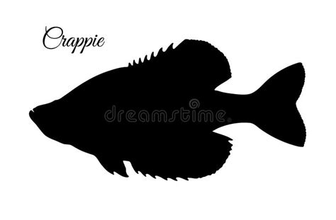 Crappie fish silhouette stock vector. Illustration of farming - 200691213