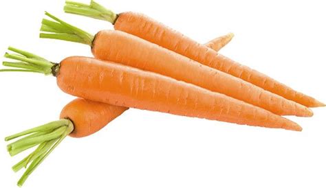 गाजर के फायदे एवं नुकसान - Carrots Benefits and Side-Effects in Hindi.jpg - अच्छी सोच