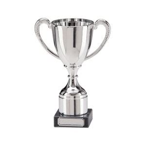 Personalised Engraved Trophy Cup Award, FREE ENGRAVING, Office ...