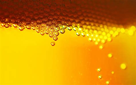 beer, Bubbles Wallpapers HD / Desktop and Mobile Backgrounds