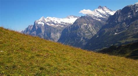 The Ultimate Guide to Exploring Jungfraujoch: Camping and Hiking