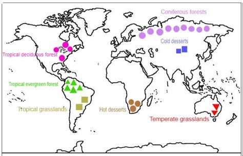 On the outline map of the world, label one area each of -(a) Tropical ...