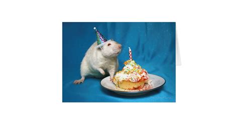 Happy Birthday Rat Card | Zazzle