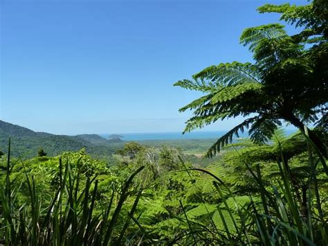 9 Things To Do In Daintree National Park To Relax With Nature