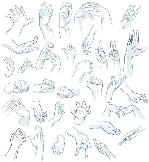 Hand Reference Drawing