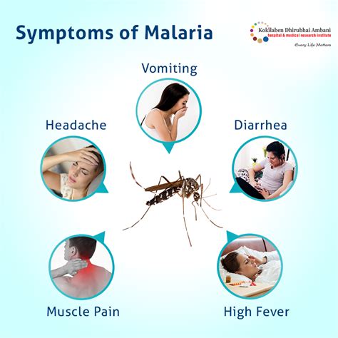 Symptoms of Malaria - Health Tips from Kokilaben Hospital