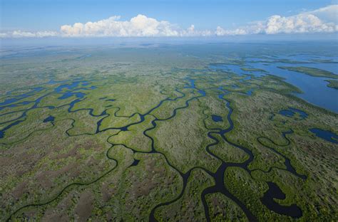 Everglades Safari Park