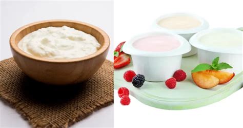 Difference Between Curd and Yogurt: A Comprehensive Guide - Irasto ...