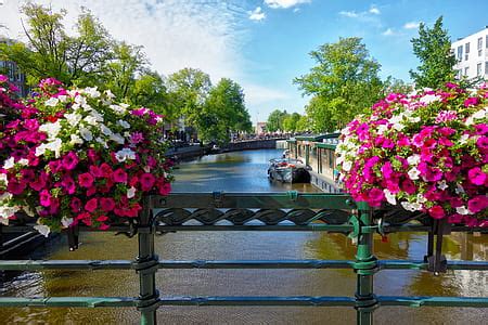 Royalty-Free photo: Concrete structure near body of water | PickPik