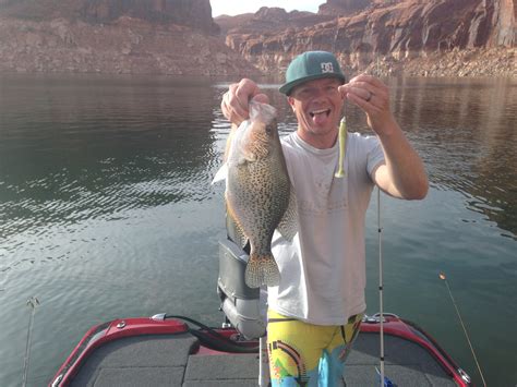 Bass Fishing Lake Powell