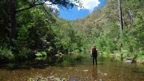 Five Epic Multi-Day Hikes to Conquer Near Sydney (With images)