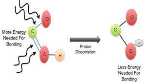 Carboxyl Group Structure & Examples | What is a Carboxyl Group ...