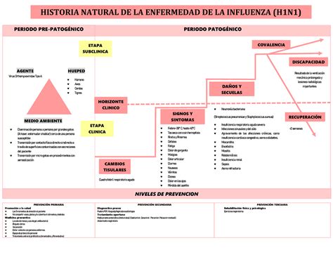 Esquema De La Historia Natural De La Enfermedad Fotos Guia 2021 – Themelower