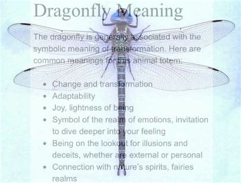 Pin by Steph & Kat Wright on Pagan, Magikal, Mystical, Holidays | Dragonfly meaning, Dragonfly ...