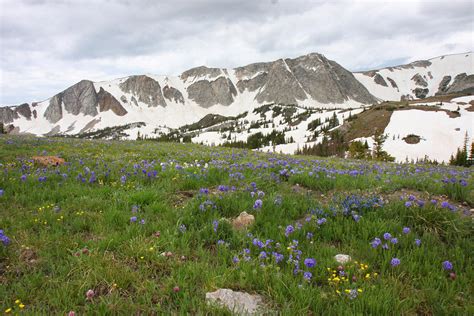 Snowy Range Wyoming Photograph by Joseph Schofield - Fine Art America